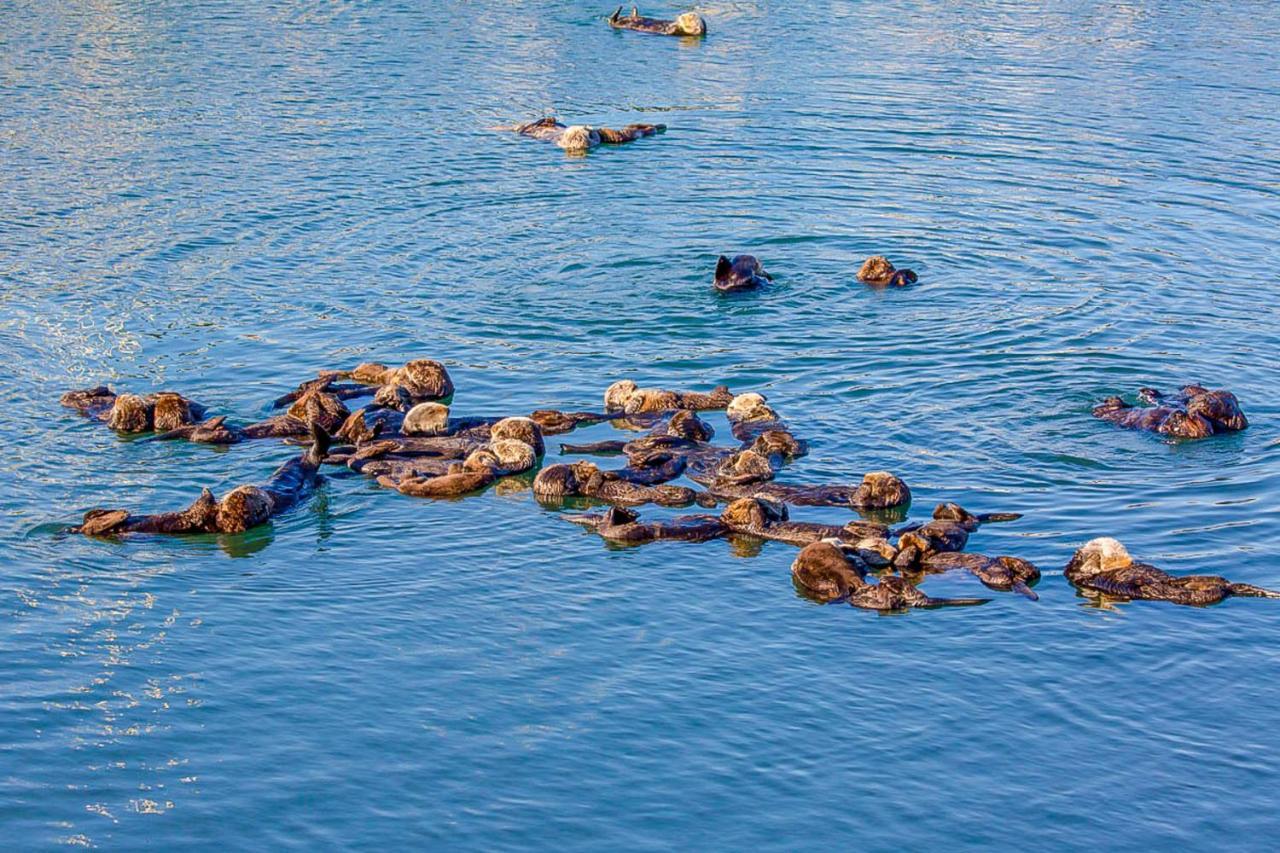 Verdon Oasis Morro Bay Eksteriør billede